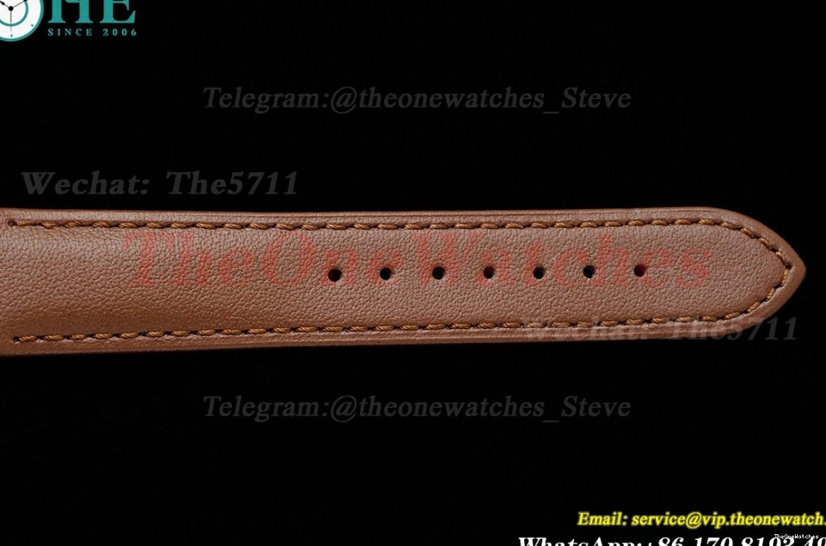 Dumont Dial Silver Brown Santos Quartz LE RG AF Dia 0313